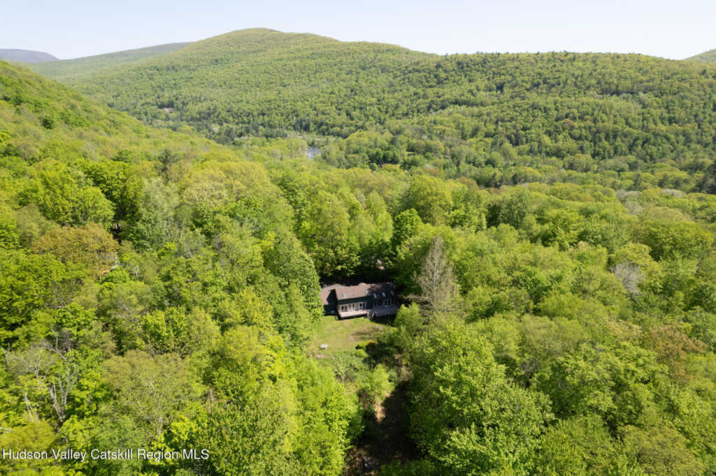 148 Ed West Road, Phoenicia, NY 12464 - Photo 3 of 17
