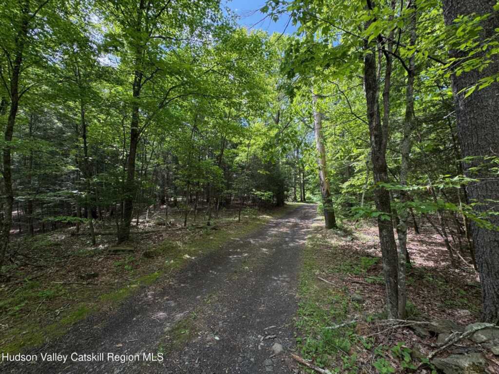 28 Mrs Franks Road, Saugerties, NY 12477 - Photo 31 of 37