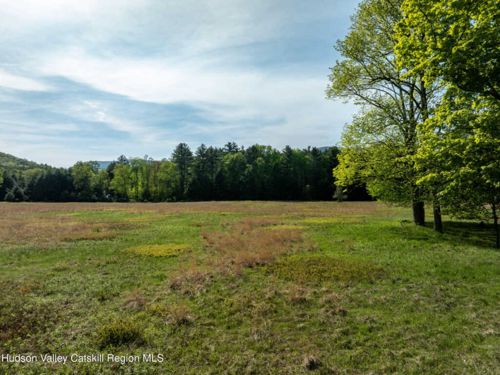 11 Louie Way, Woodstock, NY 12498 - Photo 36 of 39
