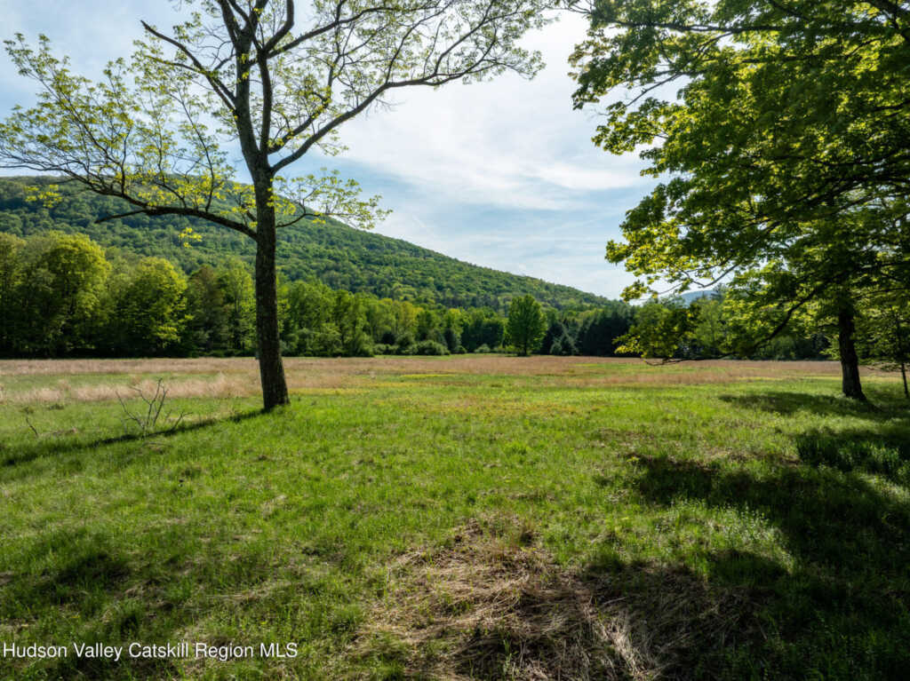 11 Louie Way, Woodstock, NY 12498 - Photo 4 of 39