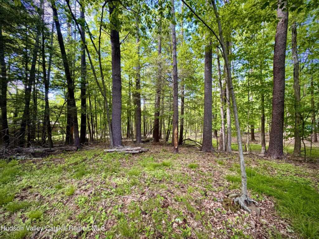 5 Briarwood Lane, Woodstock, NY 12498 - Photo 20 of 23