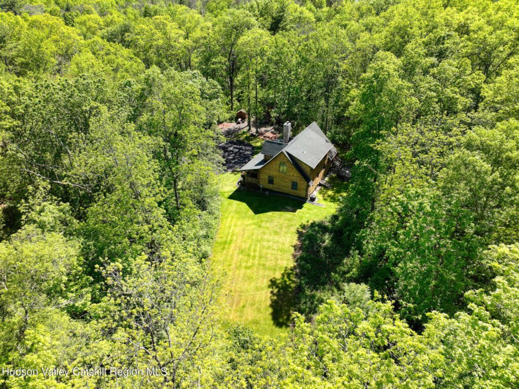 10 Rosemary Court, New Paltz, NY 12561 - Photo 3 of 50