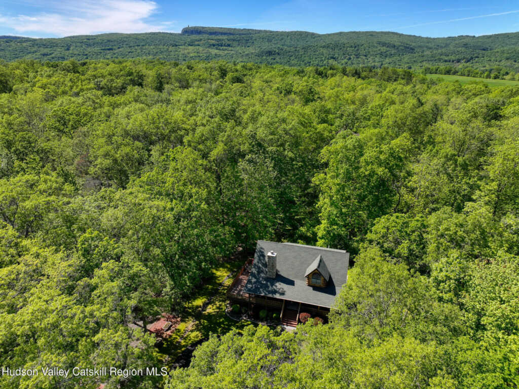 10 Rosemary Court, New Paltz, NY 12561 - Photo 4 of 50