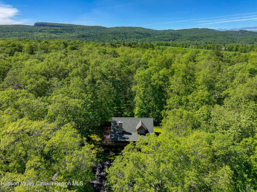 10 Rosemary Court, New Paltz, NY 12561 - Photo 7 of 50