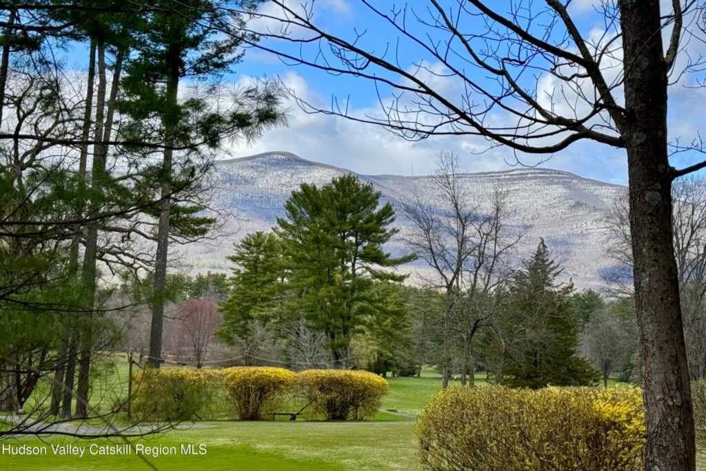 16 Delisio Lane, Woodstock, NY 12498 - Photo 15 of 17