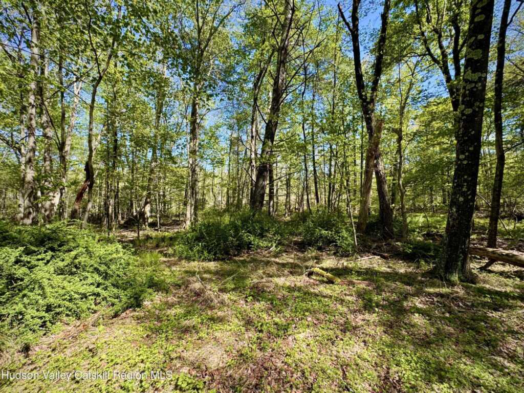 16 Delisio Lane, Woodstock, NY 12498 - Photo 16 of 17