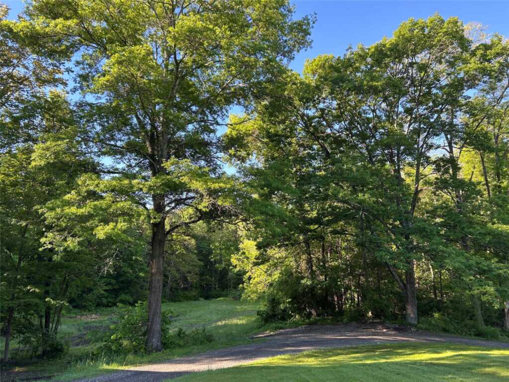 325 Metzger Road, Rhinebeck, NY 12572 - Photo 9 of 44