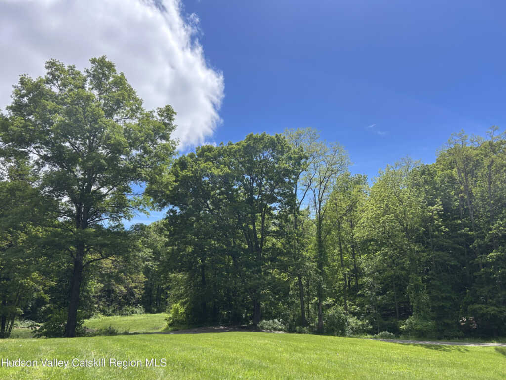 325 Metzger Road, Rhinebeck, NY 12572 - Photo 14 of 43