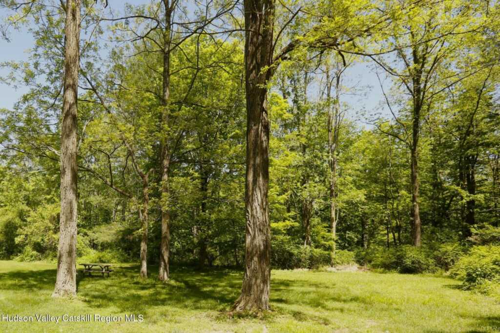 1130 Sawkill Road, Kingston, NY 12401 - Photo 37 of 41