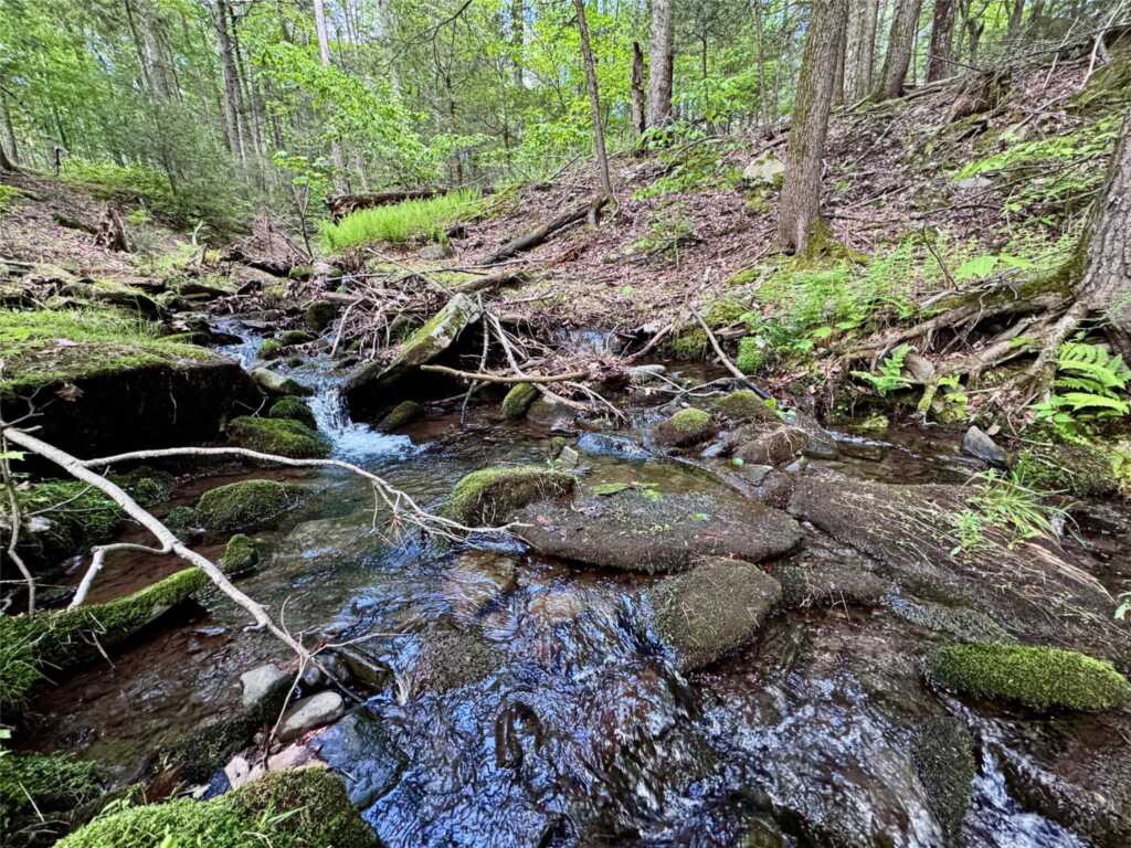 94 The Middle Way, Woodstock, NY 12457 - Photo 29 of 38