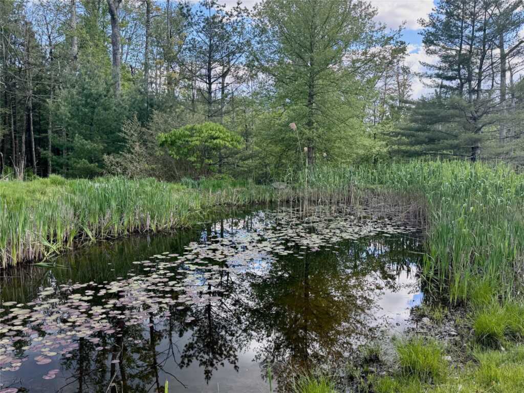 94 The Middle Way, Woodstock, NY 12457 - Photo 31 of 38