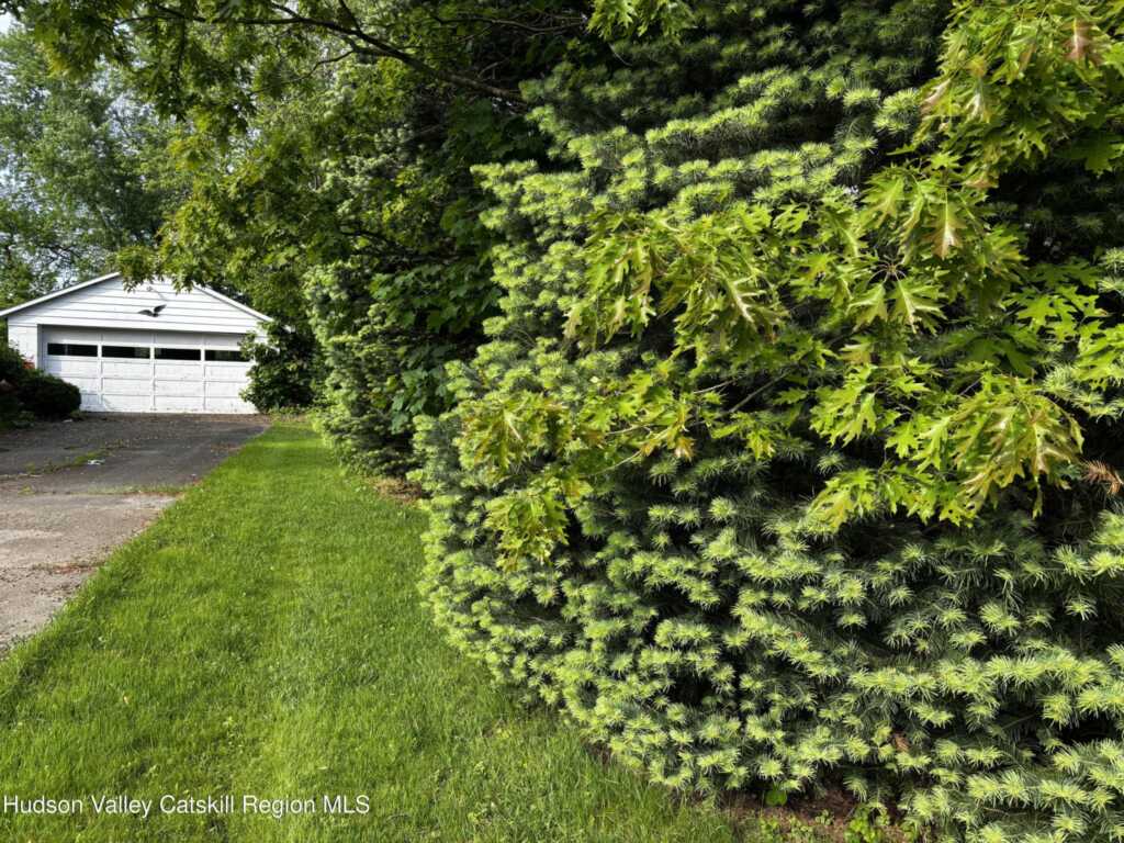 356 Wynkoop Road, Hurley, NY 12443 - Photo 6 of 19