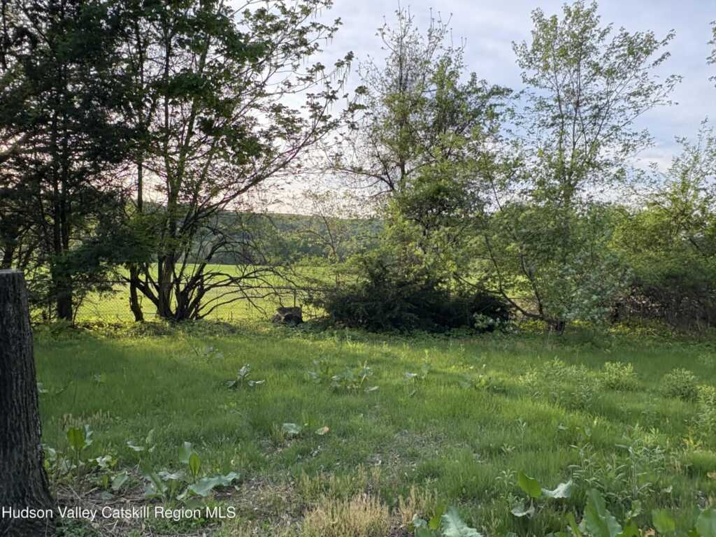 356 Wynkoop Road, Hurley, NY 12443 - Photo 8 of 19