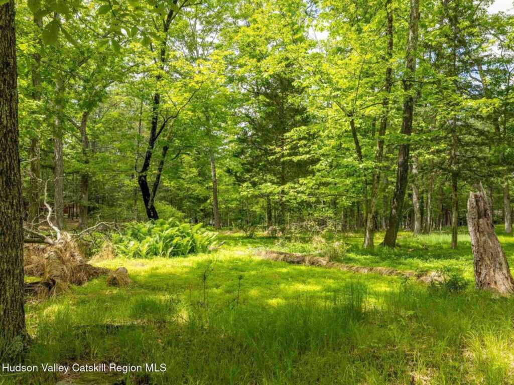 78 Ratterman Road, Woodstock, NY 12498 - Photo 30 of 35