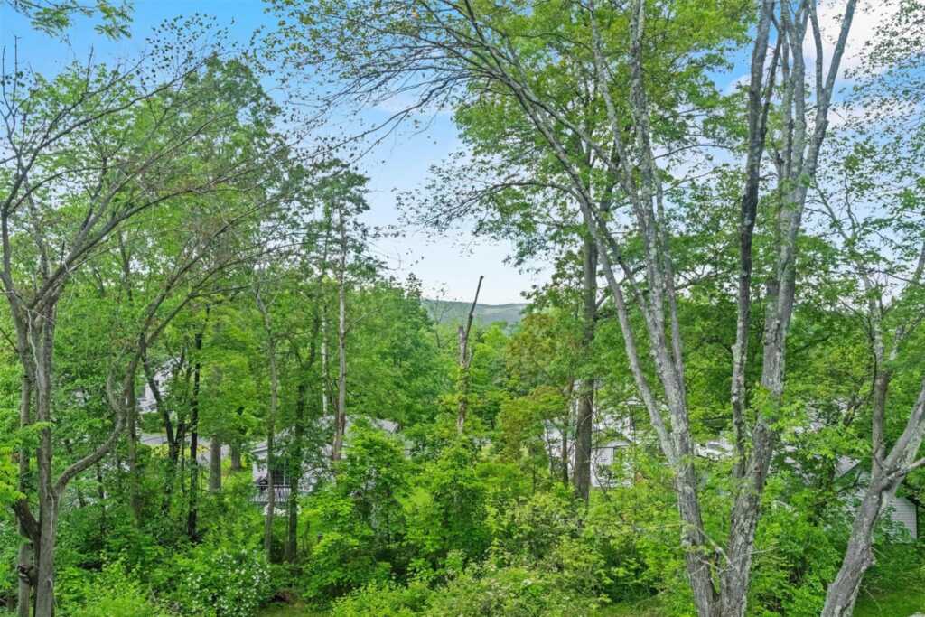 5 Fairview Avenue, New Paltz, NY 12561 - Photo 35 of 43