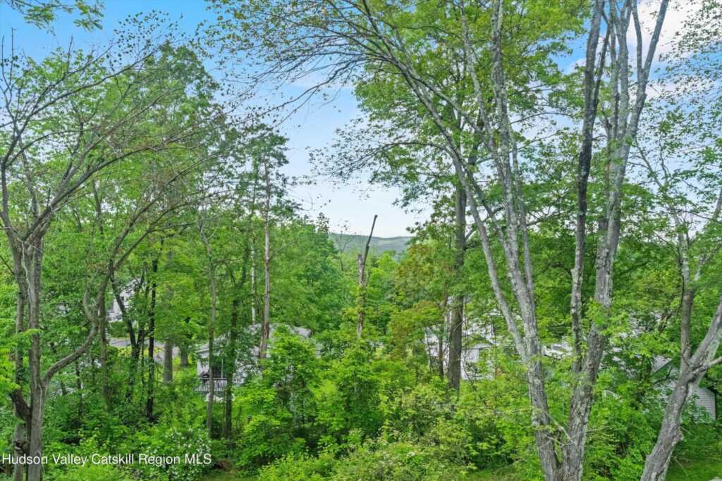 5 Fairview Avenue, New Paltz, NY 12561 - Photo 50 of 50