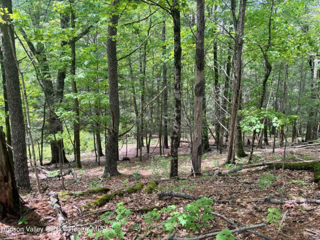 390 Churchland Rd. Road, Saugerties, NY 12477 - Photo 10 of 16