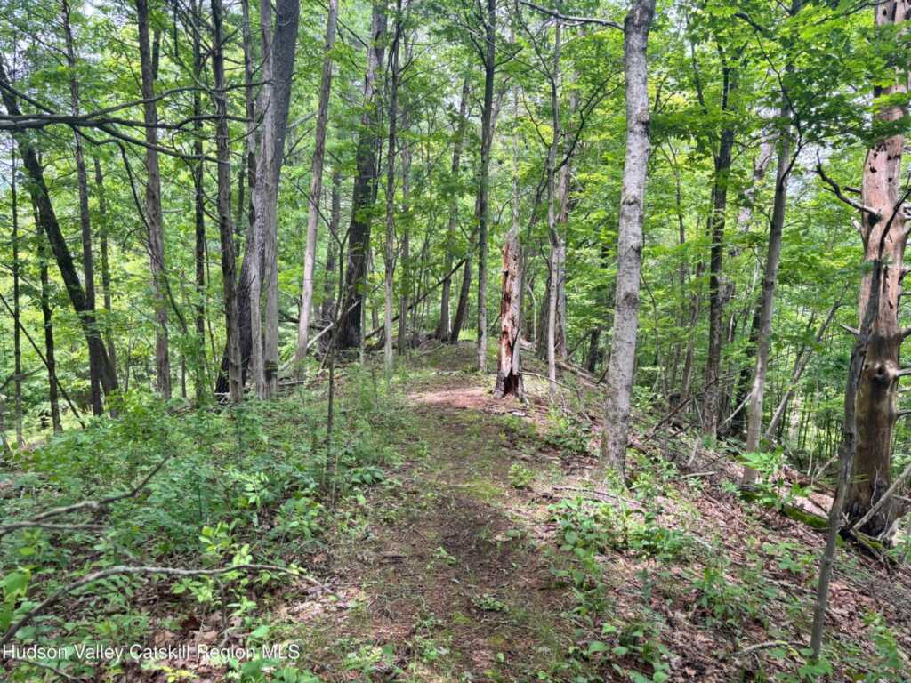 390 Churchland Rd. Road, Saugerties, NY 12477 - Photo 11 of 16