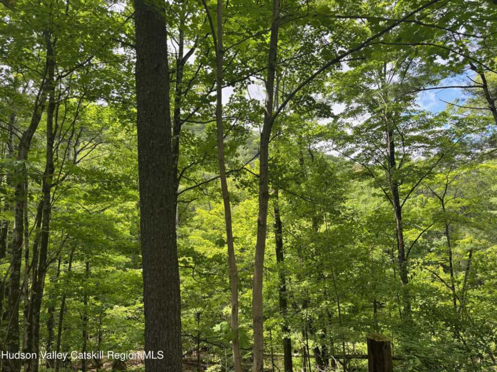 390 Churchland Rd. Road, Saugerties, NY 12477 - Photo 12 of 16