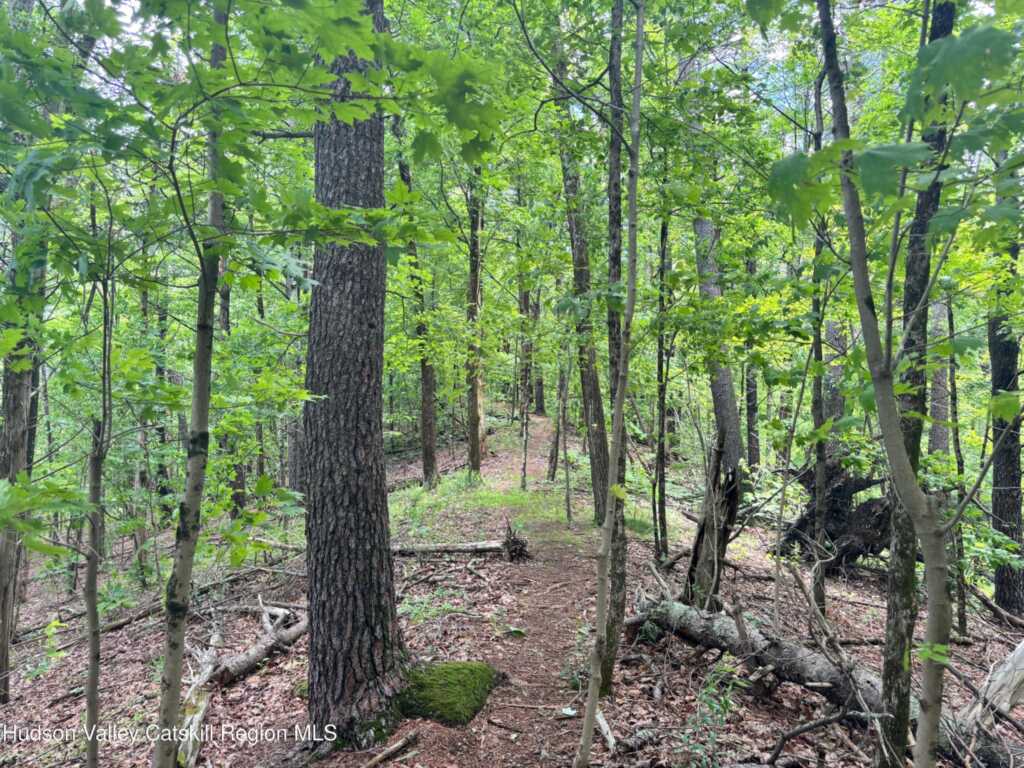 390 Churchland Rd. Road, Saugerties, NY 12477 - Photo 13 of 16