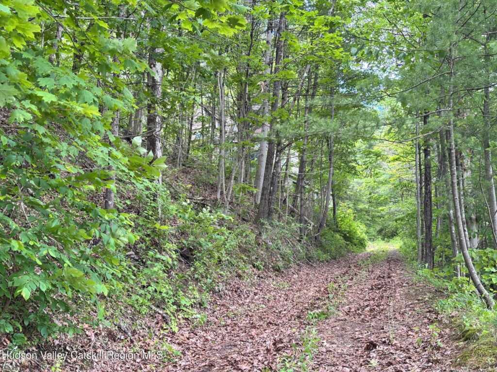 390 Churchland Rd. Road, Saugerties, NY 12477 - Photo 3 of 16