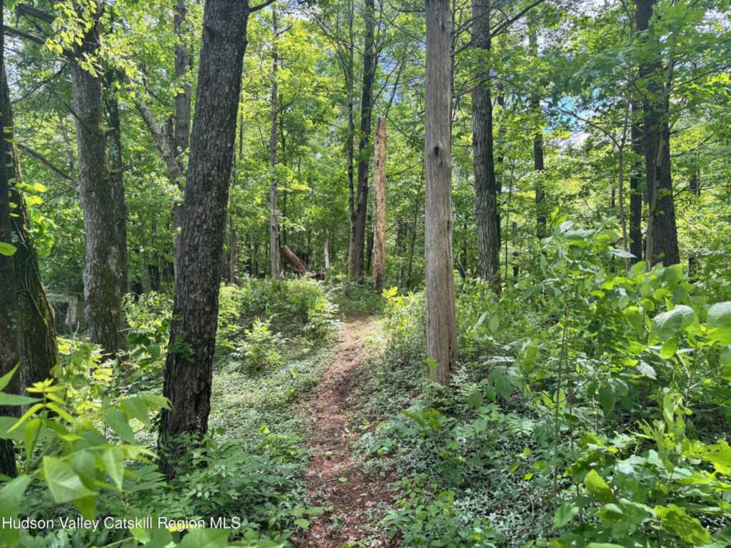 390 Churchland Rd. Road, Saugerties, NY 12477 - Photo 5 of 16