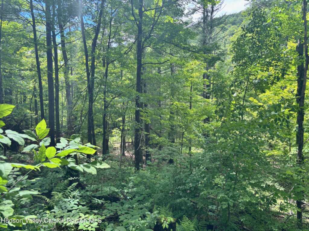 390 Churchland Rd. Road, Saugerties, NY 12477 - Photo 6 of 16