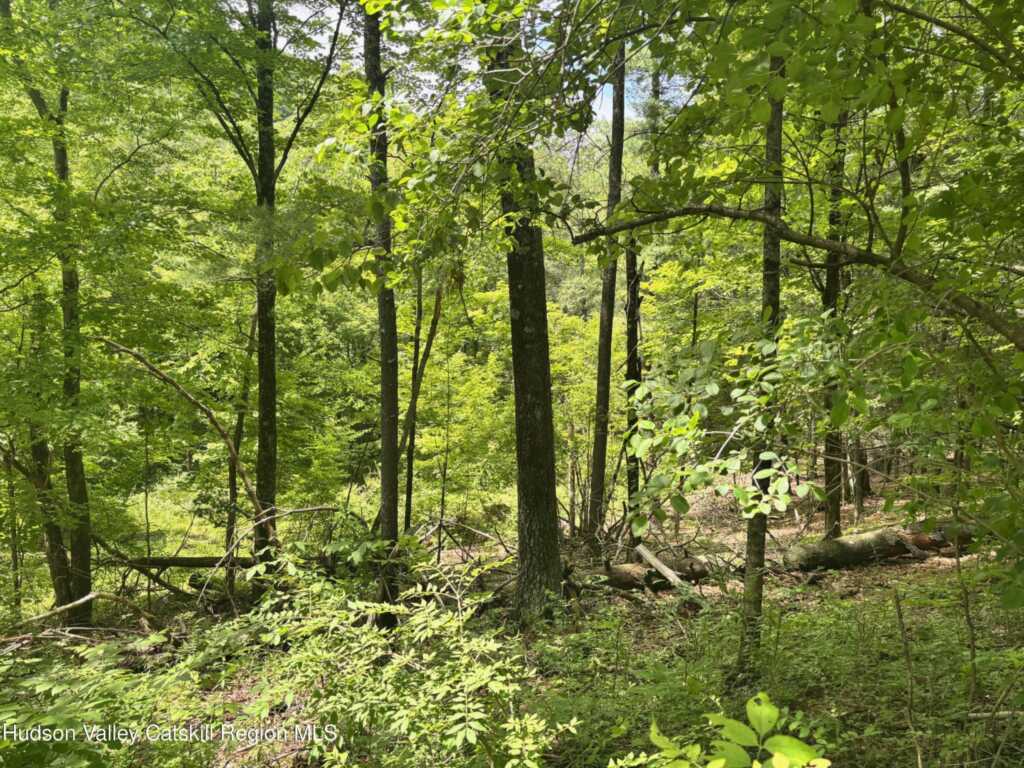 390 Churchland Rd. Road, Saugerties, NY 12477 - Photo 7 of 16