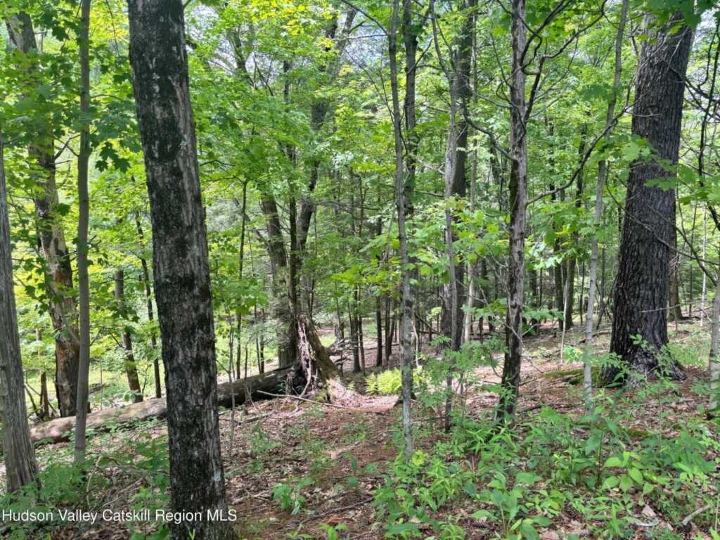 390 Churchland Rd. Road, Saugerties, NY 12477 - Photo 9 of 16