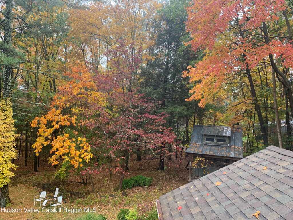 58 Peak Road, Stone Ridge, NY 12484 - Photo 45 of 50