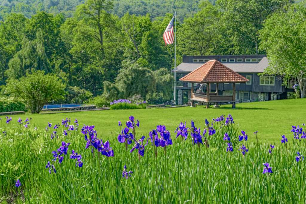 0000 WIttenberg Road, Woodstock, NY 12457 - Photo 2 of 33
