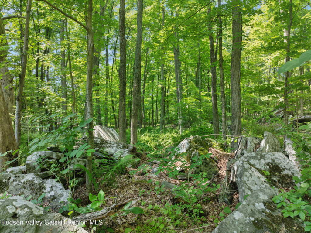 1143 Sawkill Road Road, Kingston, NY 12401 - Photo 43 of 50