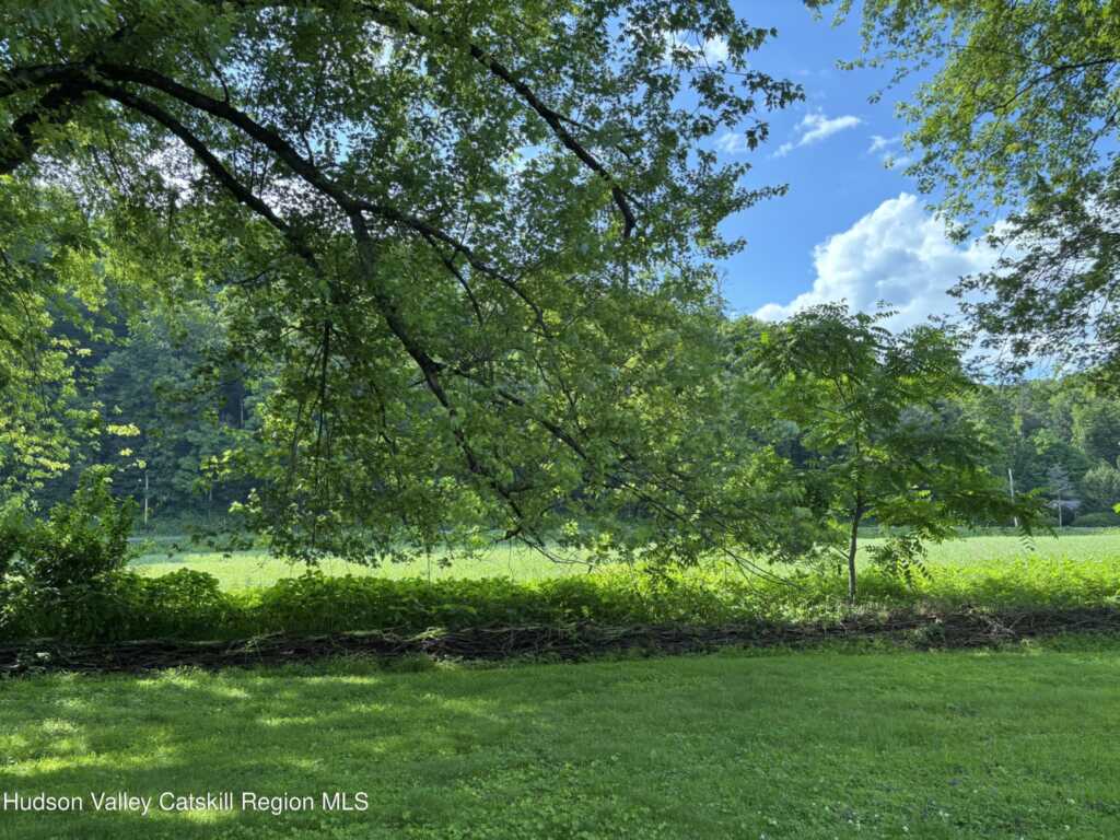 217 Evergreen Lane, Hurley, NY 12443 - Photo 4 of 23
