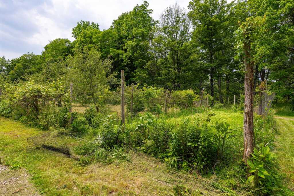 345 Metzger Road, Rhinebeck, NY 12572 - Photo 4 of 46