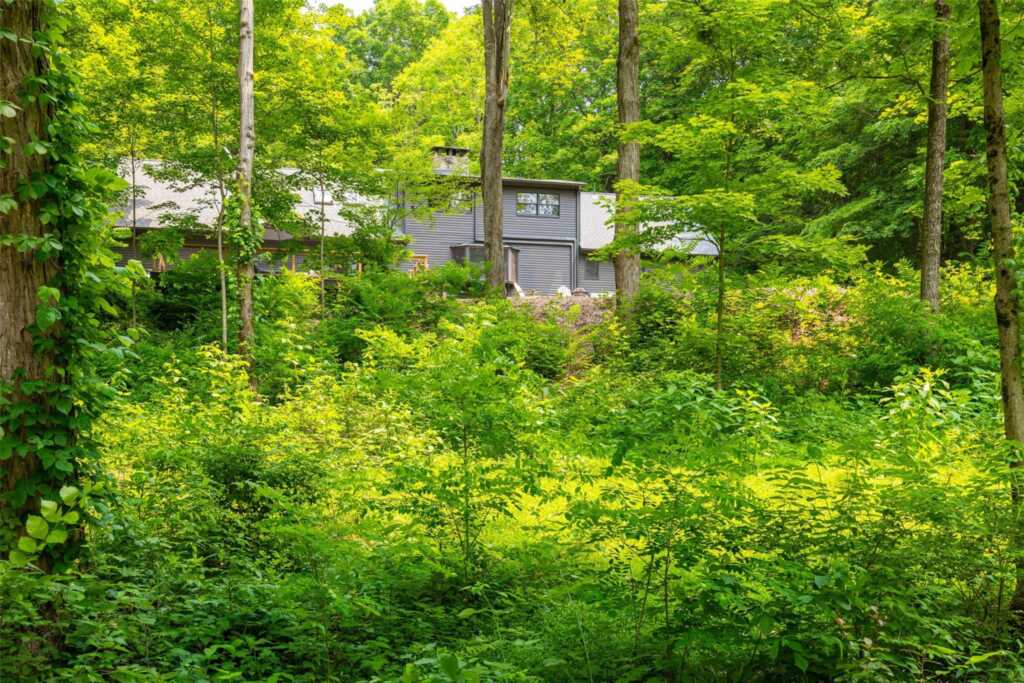345 Metzger Road, Rhinebeck, NY 12572 - Photo 9 of 46