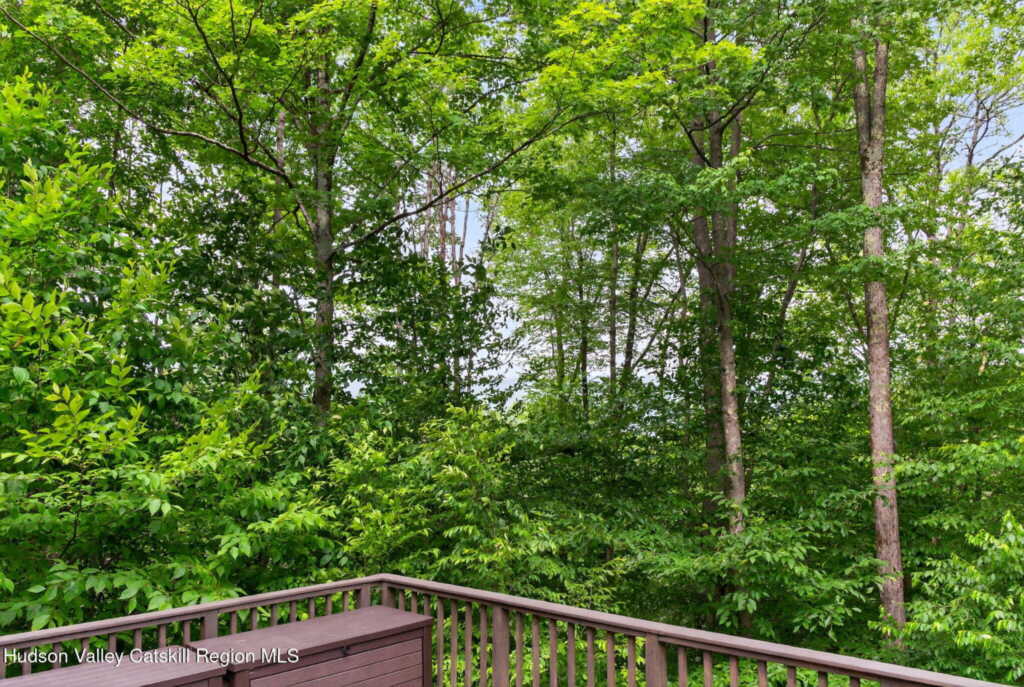 69 Irondale Road, Phoenicia, NY 12464 - Photo 27 of 30