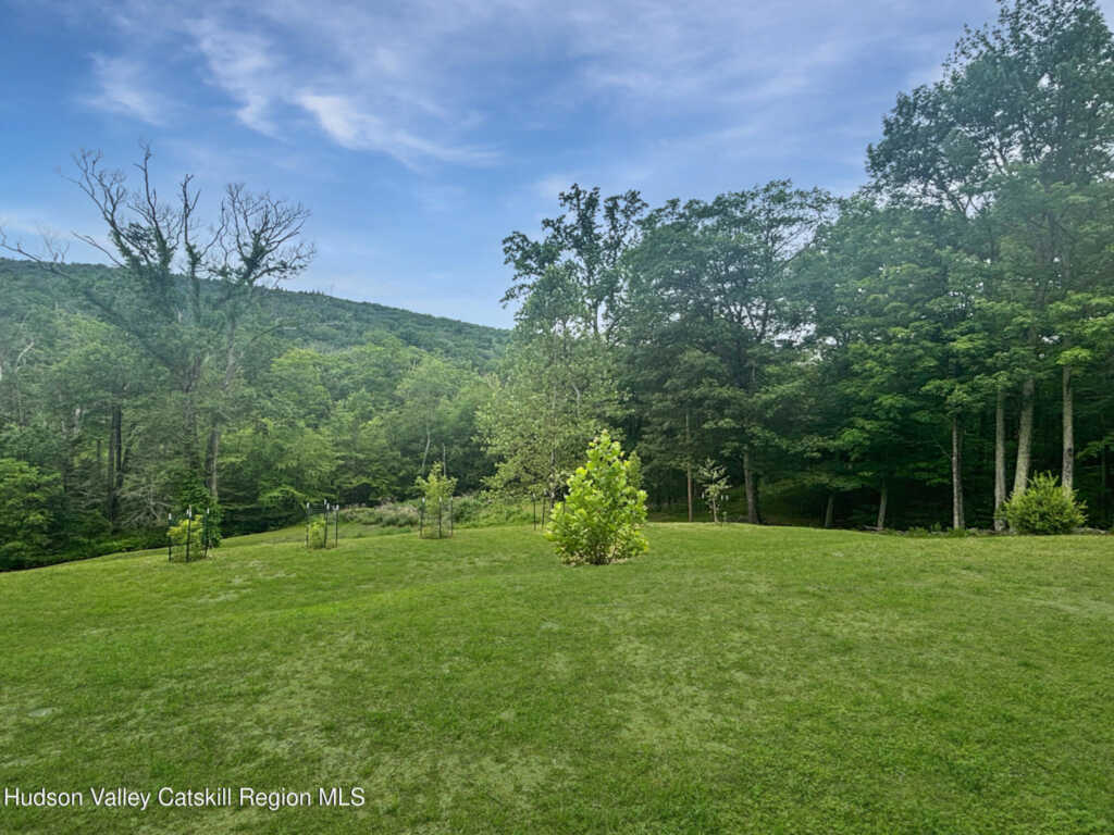 40-67 Popstone Road, Stone Ridge, NY 12484 - Photo 9 of 50
