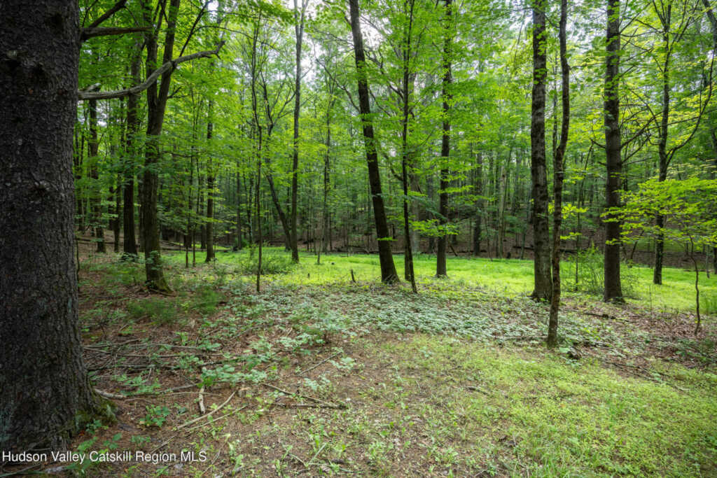 159 Pine Lane, Saugerties, NY 12477 - Photo 25 of 28