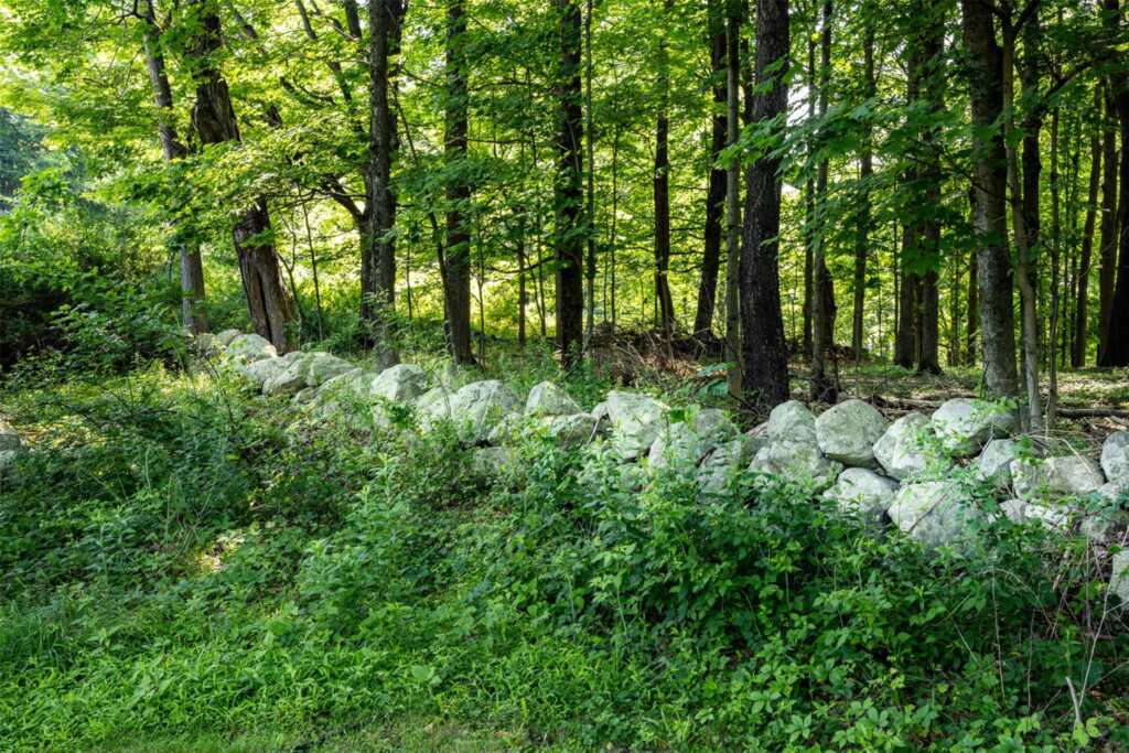 125 Mountain Rest, New Paltz, NY 12561 - Photo 33 of 43