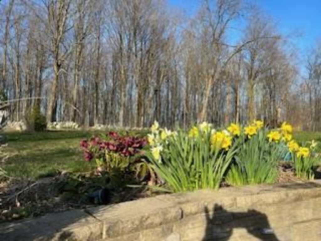 125 Mountain Rest, New Paltz, NY 12561 - Photo 38 of 43
