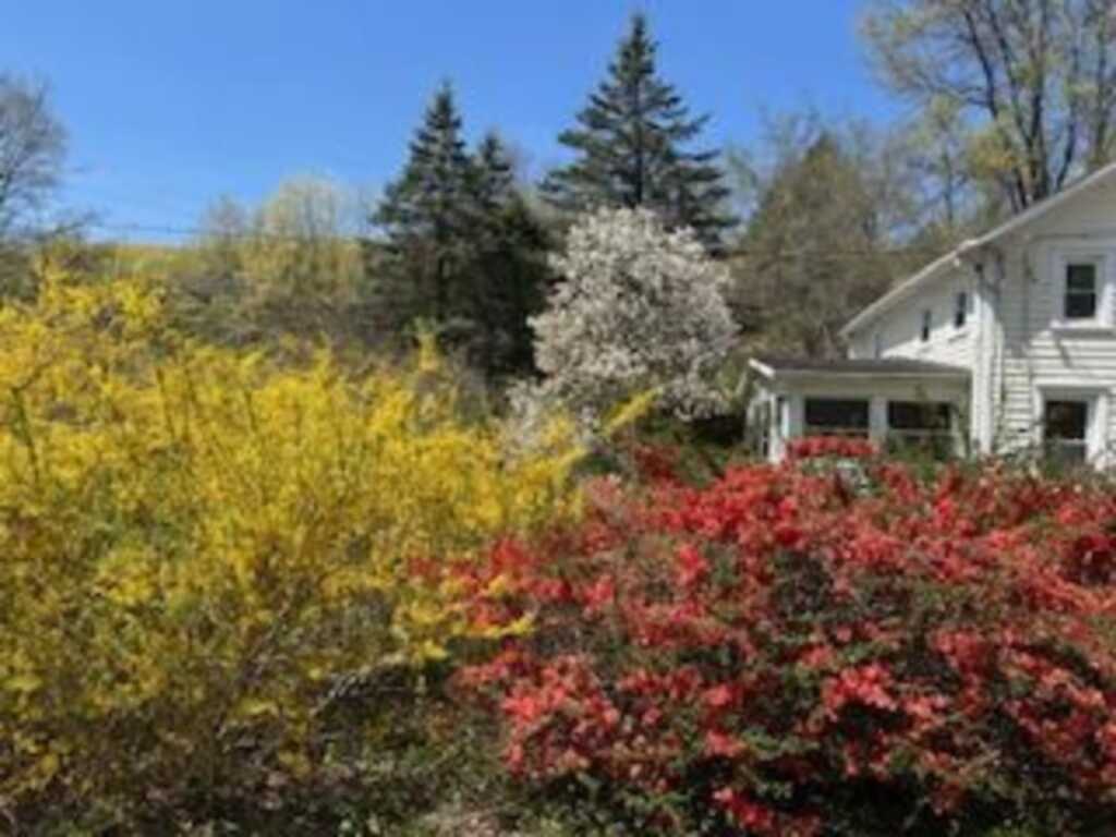 125 Mountain Rest, New Paltz, NY 12561 - Photo 4 of 43