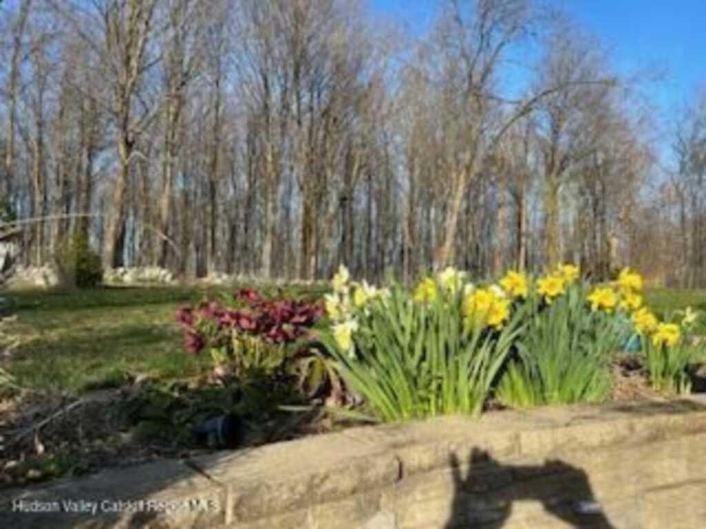 125 Mountain Rest Road Road, New Paltz, NY 12561 - Photo 33 of 43