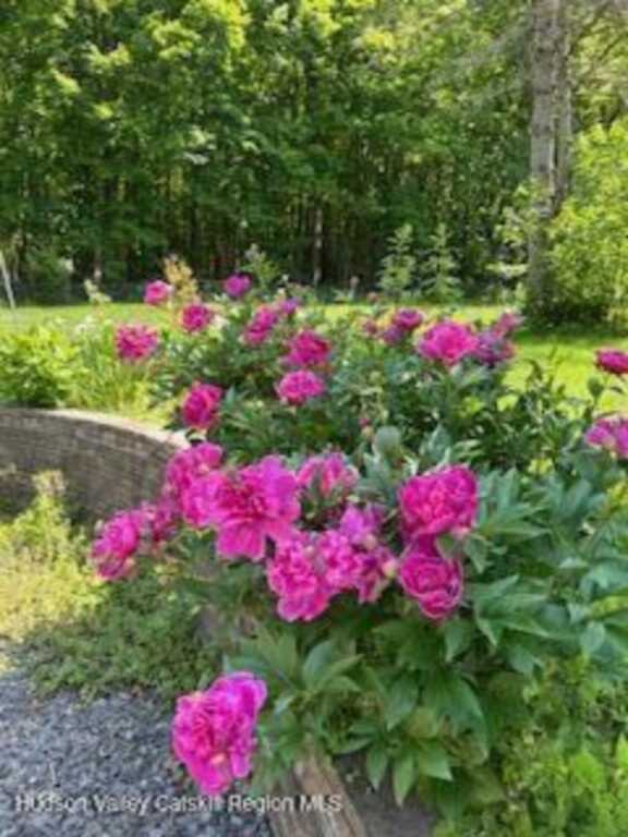 125 Mountain Rest Road Road, New Paltz, NY 12561 - Photo 35 of 43