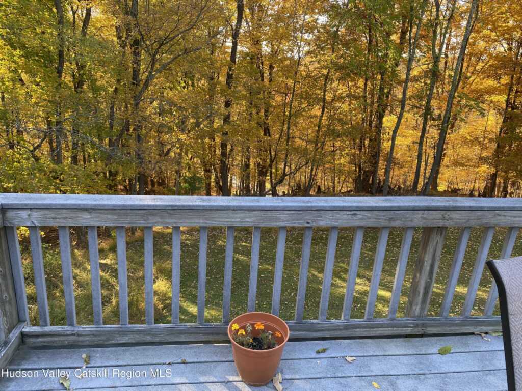 22 Beacham, Rhinebeck, NY 12572 - Photo 22 of 50