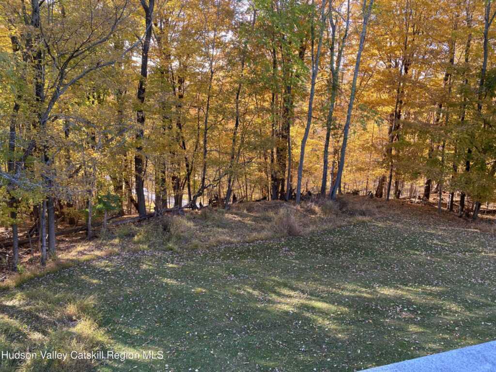22 Beacham, Rhinebeck, NY 12572 - Photo 23 of 50