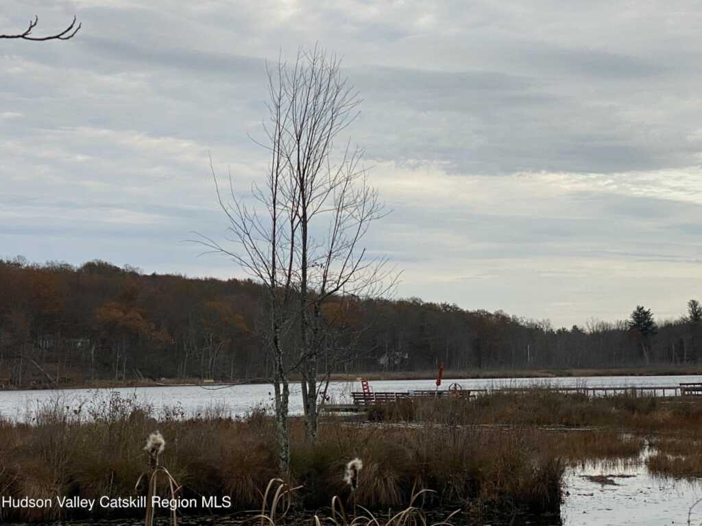 22 Beacham, Rhinebeck, NY 12572 - Photo 31 of 50
