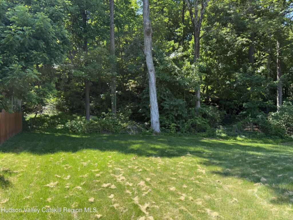 101 Marius Street Street, Kingston, NY 12401 - Photo 28 of 33