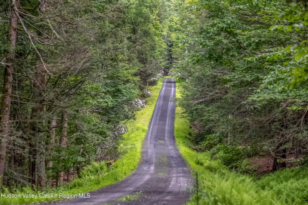 128 Newcut Road, Woodstock, NY 12498 - Photo 47 of 50
