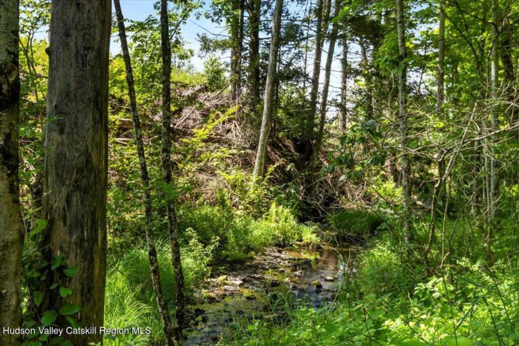 71 Wegebauer Road, Saugerties, NY 12477 - Photo 29 of 30