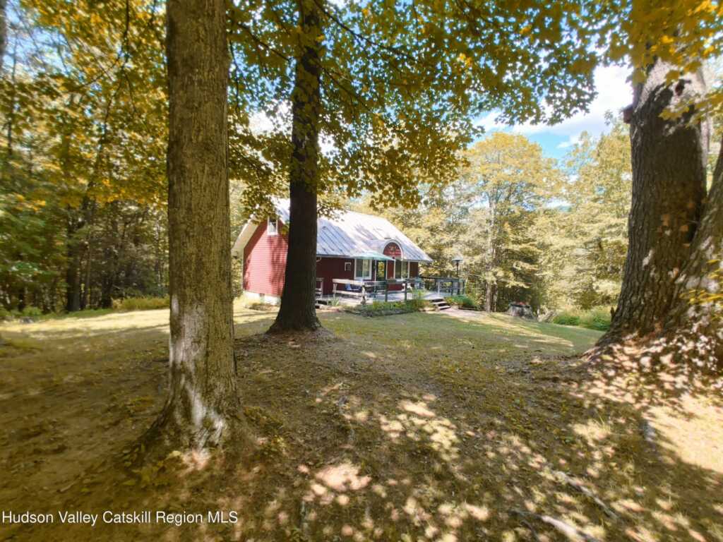 249 High Street, Phoenicia, NY 12464 - Photo 10 of 35